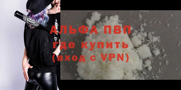 spice Богданович