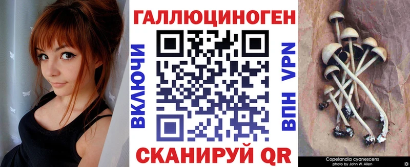 Галлюциногенные грибы ЛСД как найти Будённовск